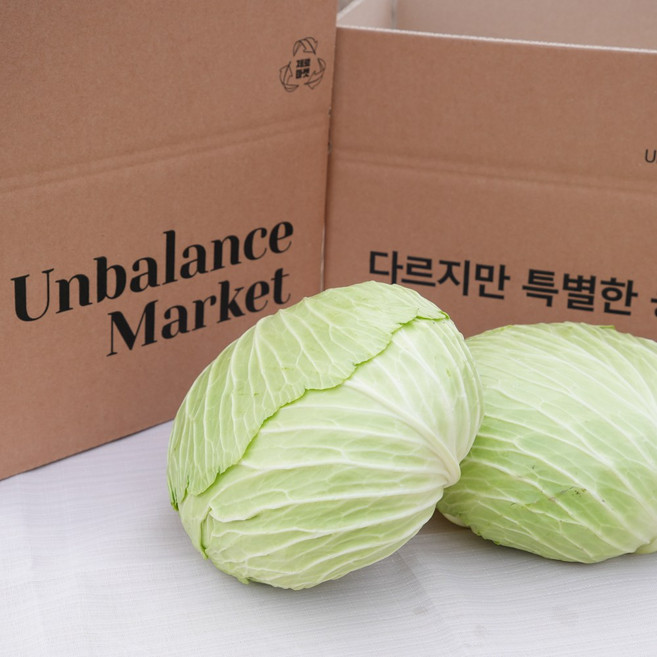 [언밸런스마켓] 제주도 유기농 못난이양배추, 1개, 2kg