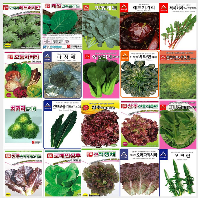 상추 쌈채소 씨앗 모음, A06-시저스그린로메인상추 씨앗 1500립, 1개