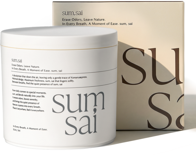 숨사이 편백 실내 탈취제, 300g, 1개