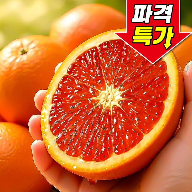 [꿀팜즈] 카라카라 오렌지 상큼꿀맛 초고당도, 1박스, 20과