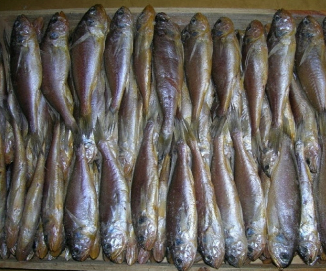손질조기 조기굴비(중) 10마리 반건조생선 목포조기 건조생선 참조기, 반건조 참조기 조기굴비(중대) 5마리, 5개