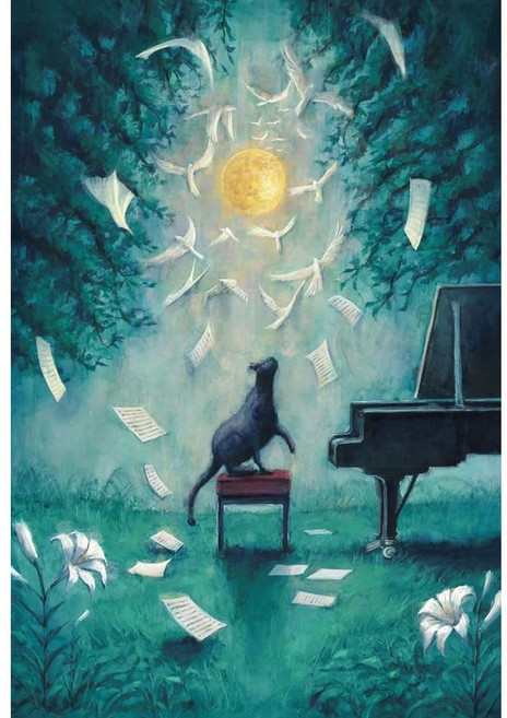 Yorushika 요루시카 콘서트 DVD+팸플릿+대본+엽서 초회판 달과 고양이의 댄스, 상품선택