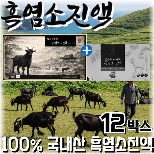 국산 흑염소 진액100% / 12세트 구매시 홍성호 울릉도 마가목 흑염소진액 사은품, 70g