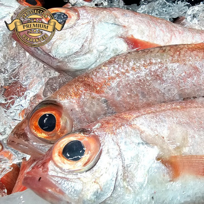 [프리미엄 자연산 금태] 국내산 목포 자연산 생물 금태생선 새벽 조업 신선도 보장, 1개, 정품 자연산 생물 금태 2kg