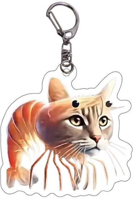 로앤제이 이탈리안 브레인롯 아크릴 키링, 1개, 21. 트리피 트로피