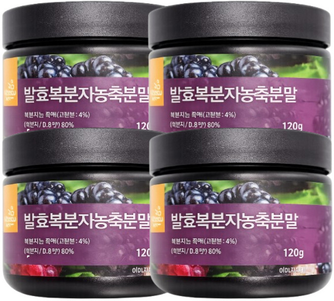 국내산 고창 발효 복분자 농축 분말 가루 대용량, 4박스, 120g