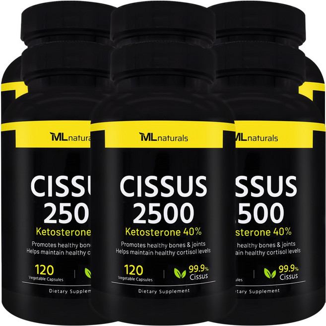 마이라이프 내추럴스 시서스 2500mg, 6개, 120정