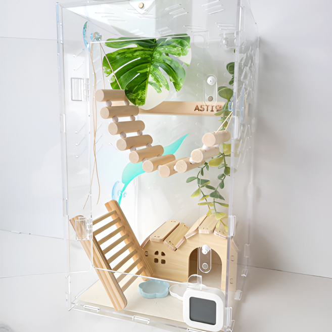 아스티렙 크레스티드 게코 아크릴 사육장 세트 20x20x35cm, 1세트, 우드 은신처