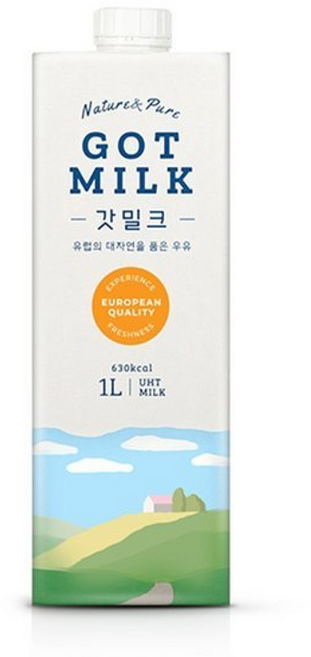 메가커피할인 추천 TOP10 — 메가커피 갓 밀크 멸균우유, 1박스, 1L