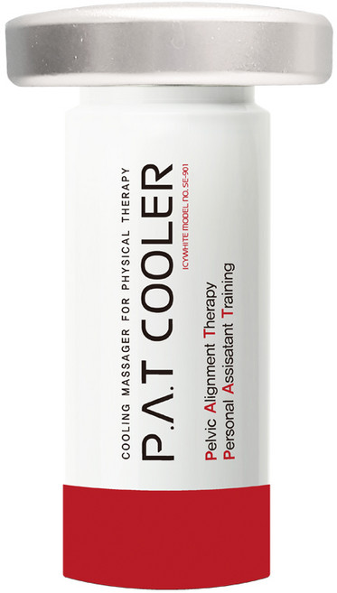 아이시화이트 PAT쿨러 고성능 쿨링기 (페이스 & 바디 마사지), 1개, 1개