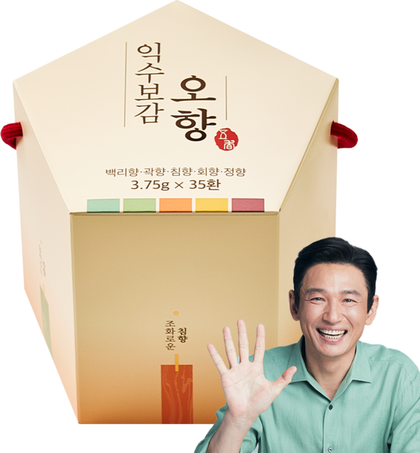 익수 보감 오향 35환 x 1박스 침향 정향 곽향 백리향 회향 539460, 1개, 131.25g