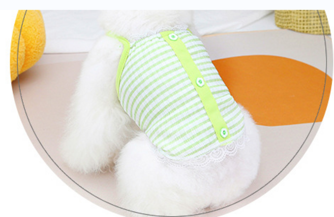 HALOKAIYA 애완 동물 옷 봄/여름 얇은 세가지색 레이스 멜빵 조끼 고양이 강아지 중/소형견 테디독 편안하게 실내복, 연두색, 1개