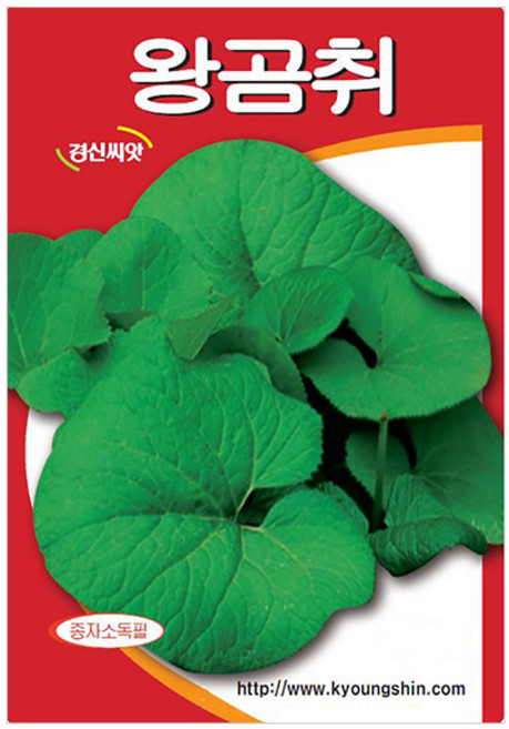 세인화분 국산 왕곰취 1g - 곰취 씨 씨앗 나물 취나물, 1개