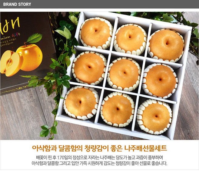 맛과 품질을 보장한 산지직송선물세트 나주봉황배, 1개, 5.8kg(9과)