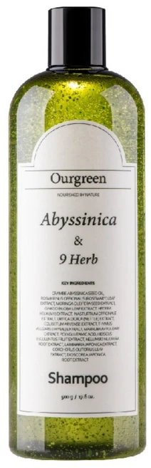아워그린 아비시니카 나인허브 샴푸, 1개, 500g - 쿠팡