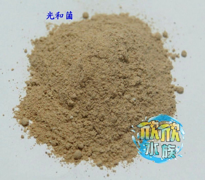 欣欣水族 光合菌粉 100克袋裝 各大魚場指定品牌, 1個