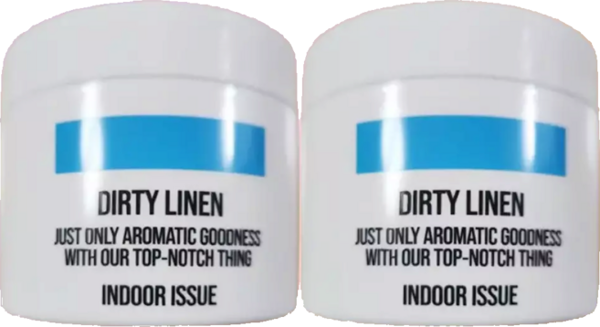 리핀 실내 고체탈취제 300g 2박스, 1개