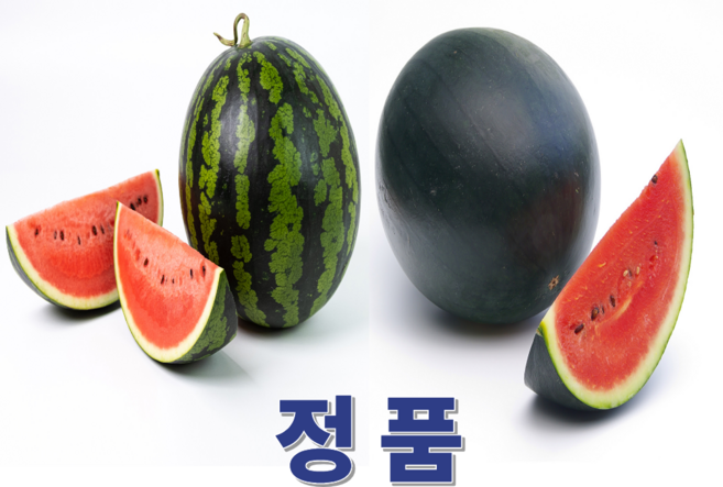 서비네 산지직송 정품 수박 & 흑미수박, 1개, 정품 수박 3kg 내외