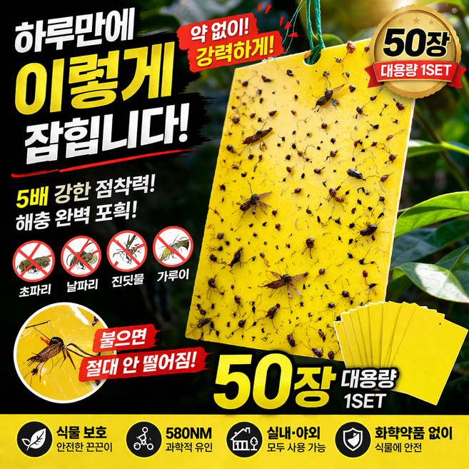 파리 끈끈이 50장 대용량 러브버그 초파리 날파리 트랩 식물 화분 해충 제거 끈끈이 스티커, 1세트, 50매