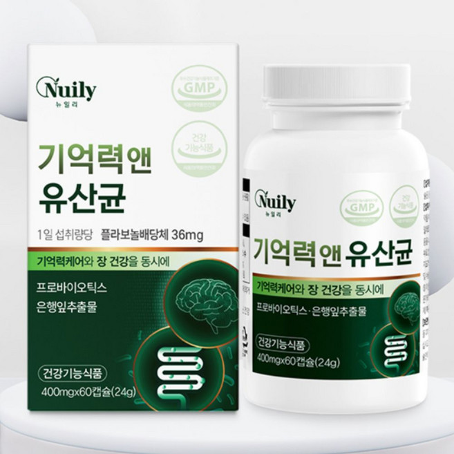 뉴일리 기억력 앤 유산균 은행잎 추출물 400mg 기억력 장 케어 프로바이오틱스 혈행 기억력 개선, 3개, 60정