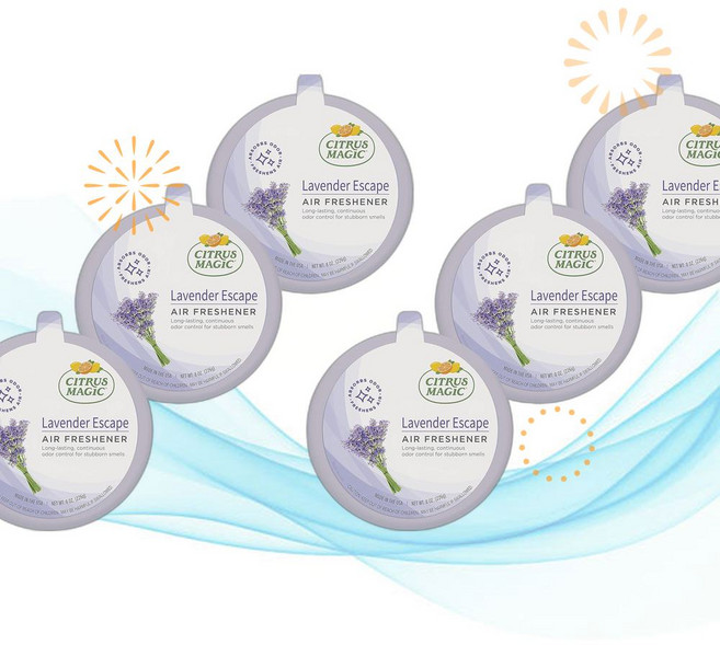 Citrus Magic 시트러스매직 에어컨 탈취제 라벤더 고체 방향제 226g 3개입 - 악취 흡수 TC