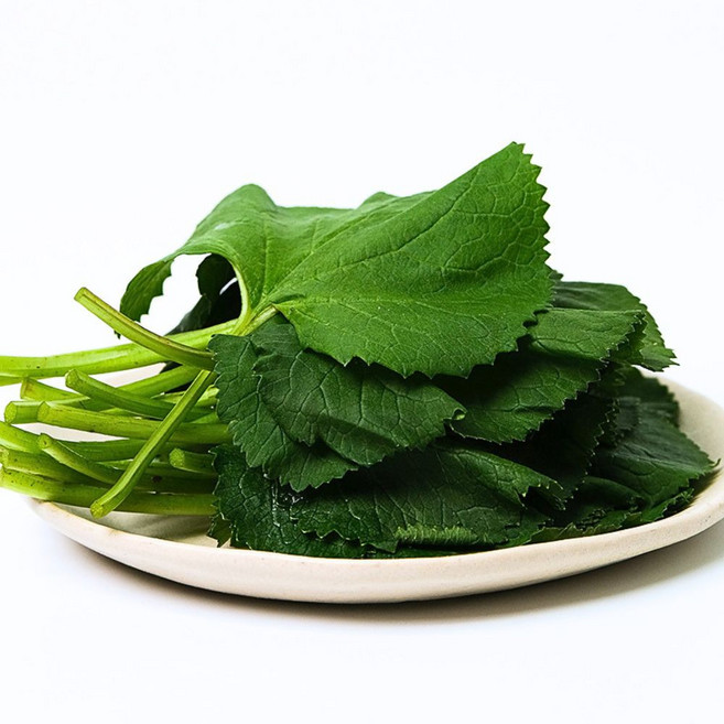 강원도 햇 곰취나물 제철 봄나물, 500g, 1박스