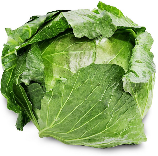 [울팜] 국내산 신선 통 양배추 대용량 식당용, 1박스, 8kg