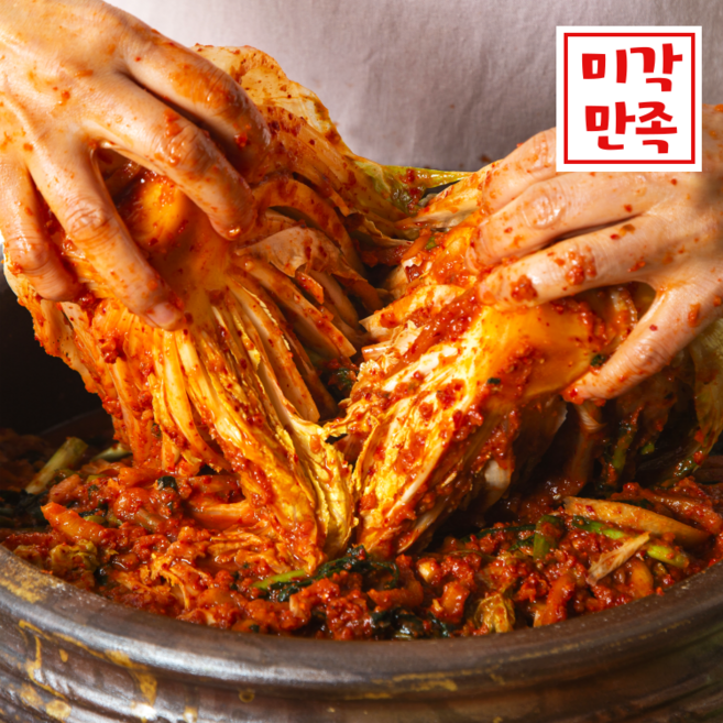 갓 담근 전라도 배추김치 100% 국내산 포기김치, 1개, 5kg