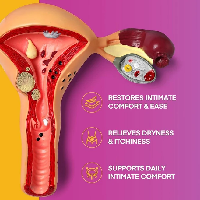 [아마존4.5+ 미국출고 169585] Vigority Intimate Phyto-Estro 여성용 크림 편안함과 수분을 위한 데일리 인티메이트 모이스처라이저 부드러운 식물 - 쿠팡