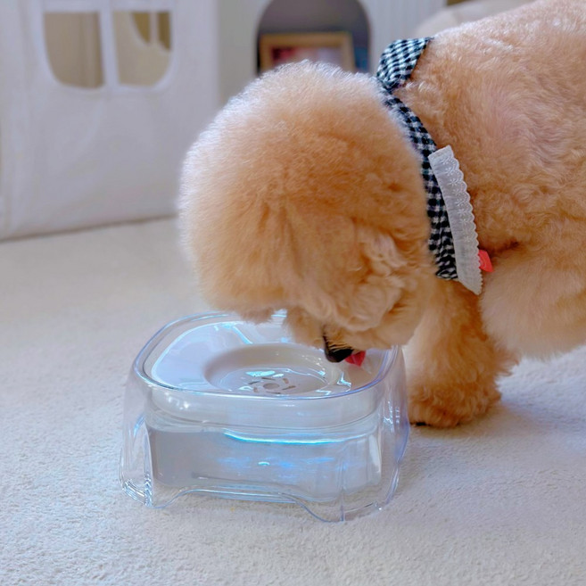 MAAH 강아지 반자동 필터형 급수기 2L 대용량 물그릇 PBW-06, 1개, 화이트