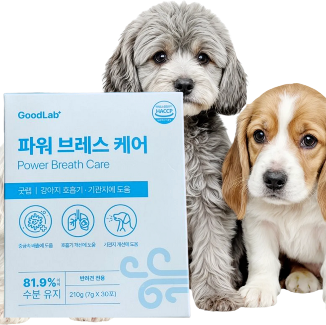 펫펫펫 강아지 기관지 영양제 굿랩, 210g, 호흡기/기관지, 1개