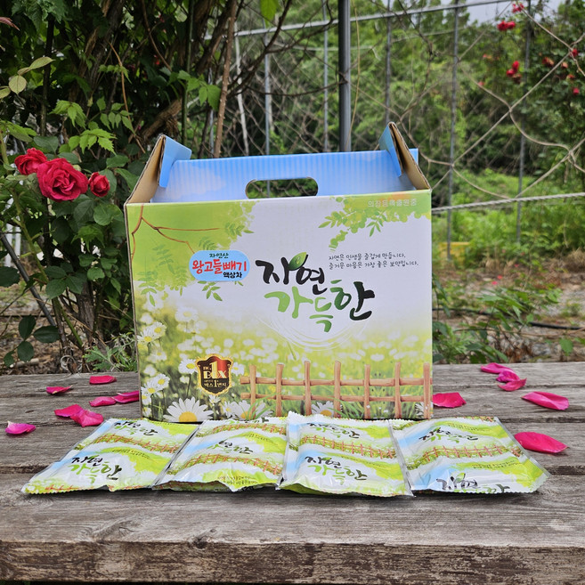 백년애푸드 자연산야생 왕고들빼기진액 100ml60포1개(만성피로 운전할때 야근할때 왕고들진액 남자에게 참좋아요~ ), 60개, 100ml