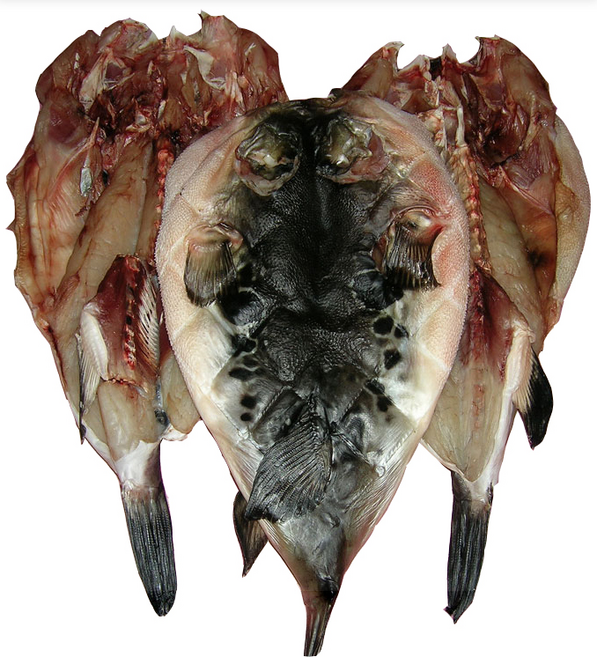 손질복어 생물복어 참복 500g(1-2마리) 생복어 검복 복어지리 복매운탕 복어요리, 반건조참복 500g(중복)(2-3마리내외), 1개