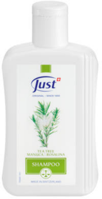 유스트 티트리 샴푸, 250ml, 1개