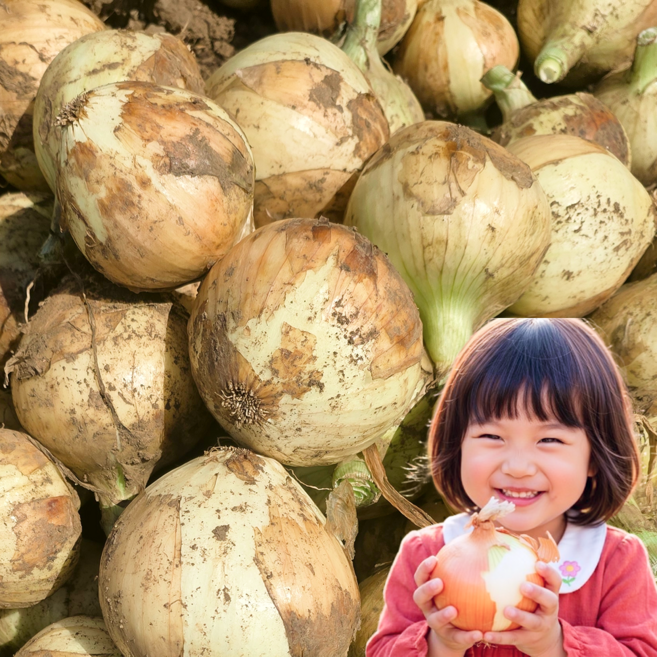 [품질보장] 2026년 무안 햇양파 최상품, 1박스, 3kg (중대혼합)