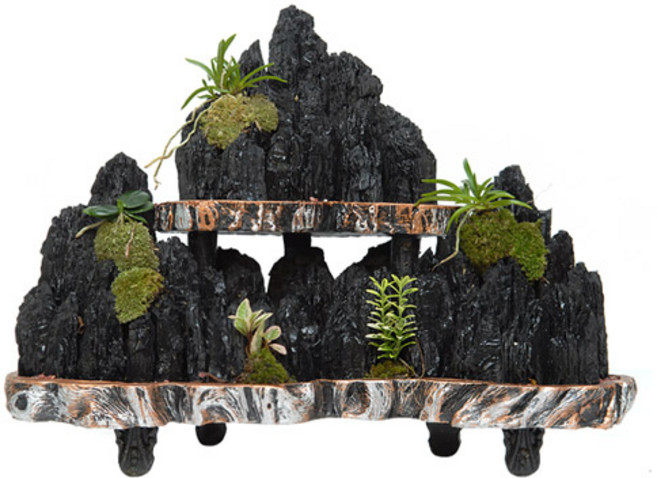 숯부작5호 (OW-0075)[꽃배달서비스/축하화분/개업화분], 1개