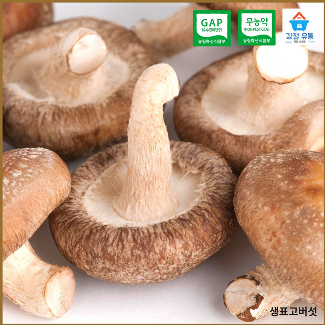생표고버섯 버섯가루 말린표고 슬라이스(상품) TV방영 표고버섯 GAP 무농약 산지직송, 1개, 표고버섯가루45g