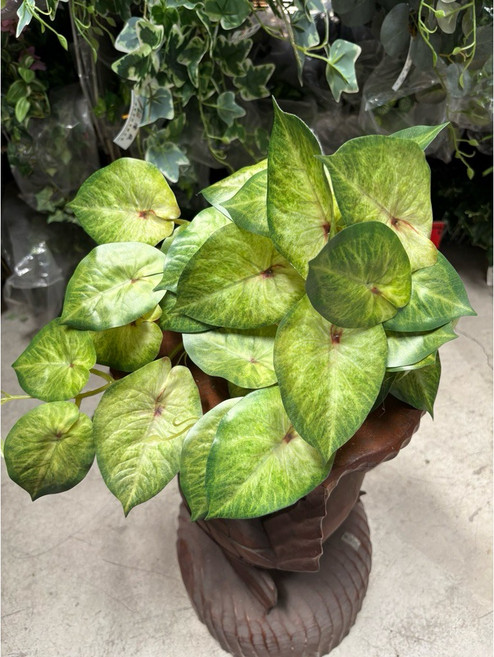 仿真觀葉植物, 1個, 仿真合果芋葉