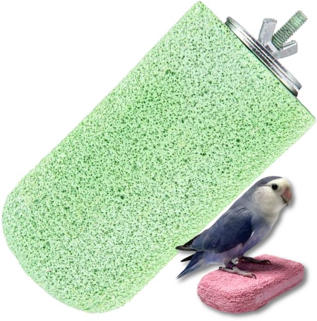 LETOJ 앵무새 부리갈이 스톤, 1개, 아이스크림그린