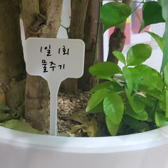 작물 표시 싸인 푯말 원예 작물이름표 꽂이 네임택 식물 화분 재배 텃밭 이름표 화분팻말, 상세페이지 참조