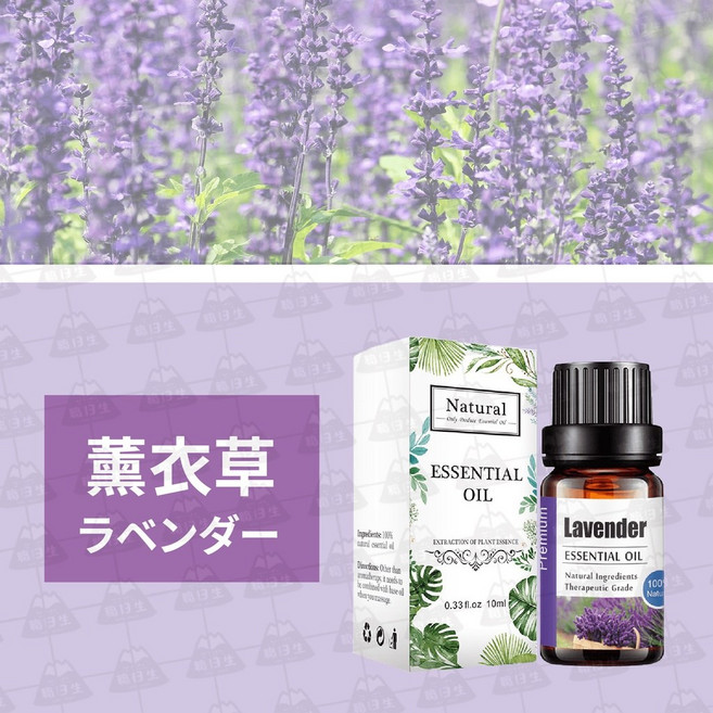 Kanho單方精油【薰衣草】, 1個