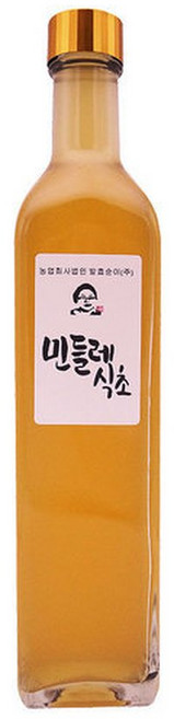 발효순이 차가버섯식초 /마시는 자연발효건강초, 1개, 500ml
