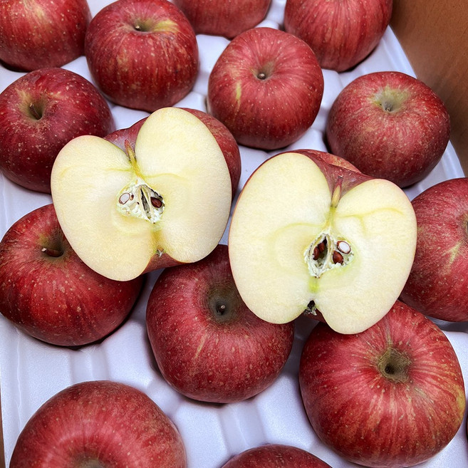 재구매율1위 청송 꿀 부사사과, 1박스, 5kg 대과(18과내외)