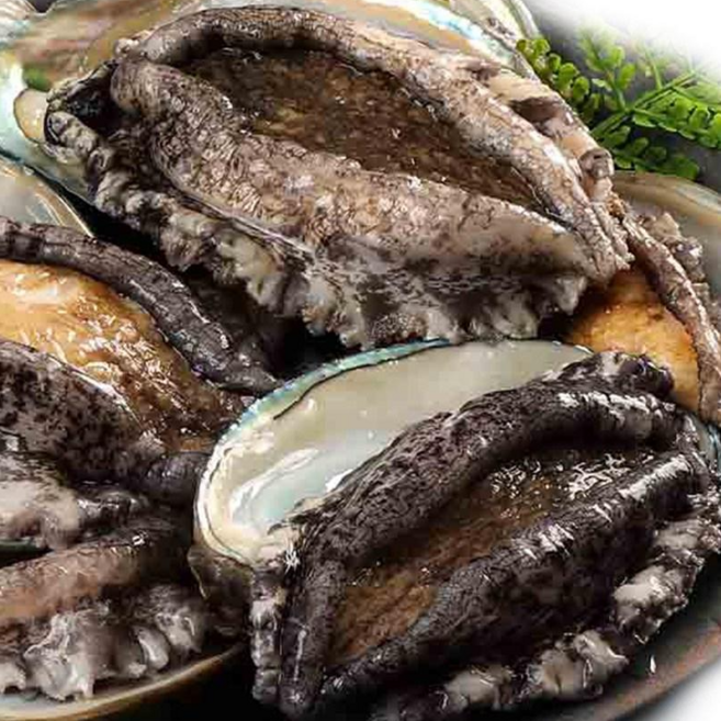 [꼬복상회] 완도 활전복 11-12미 1kg 당일조업 왕특대 사이즈까지 선물용, 1개, 활전복11-20미