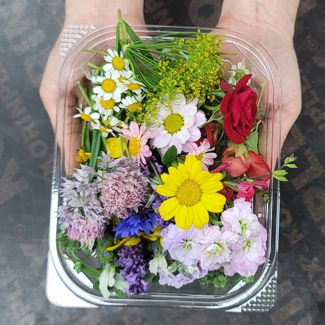 허브꽃모듬 1팩 요리데코 오마카세 케이크데코, 2g, 1개 - 쿠팡