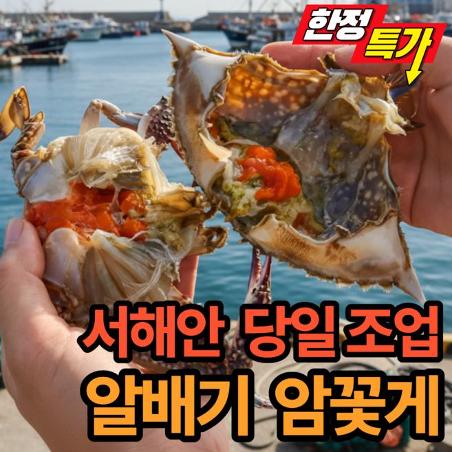 [한정특가] 국내산 서해안 생물알배기 암꽃게, 1개, 1kg