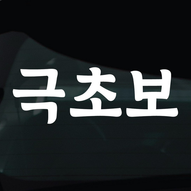 디자인황소 초보운전 스티커 차량스티커 차량 자동차 데칼 시트지, 1개, 11 극초보