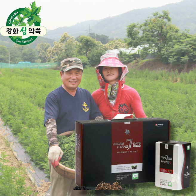 강화약쑥 쑥즙 사자발쑥진액, 21개, 70ml