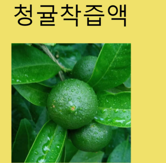 통째로 얼린 제주 풋귤 냉동청귤 /신생농원, 착즙액 청담기용 풋귤 착즙액5키로, 1박스