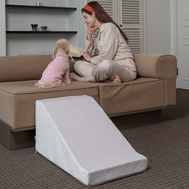 슈퍼펫 강아지계단 논슬립 미끄럼방지 슬라이드 스텝, 1개, 화이트